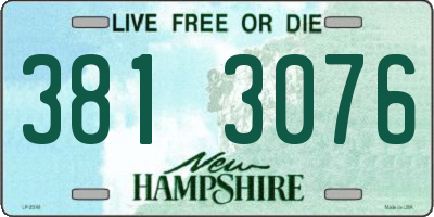 NH license plate 3813076