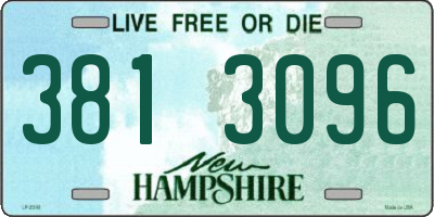 NH license plate 3813096