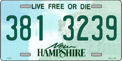 NH license plate 3813239