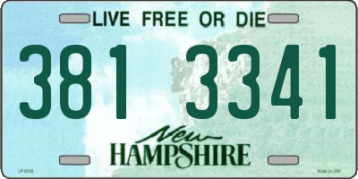 NH license plate 3813341