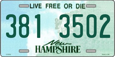 NH license plate 3813502