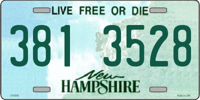 NH license plate 3813528