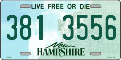 NH license plate 3813556