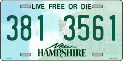 NH license plate 3813561