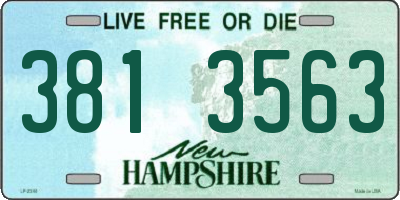 NH license plate 3813563