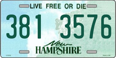 NH license plate 3813576