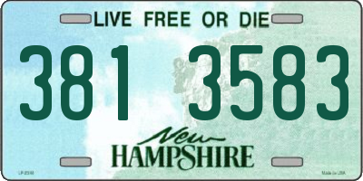 NH license plate 3813583