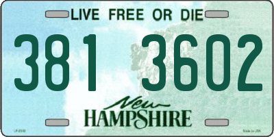 NH license plate 3813602