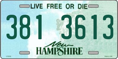 NH license plate 3813613