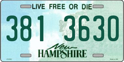 NH license plate 3813630