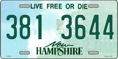 NH license plate 3813644