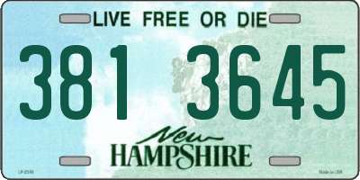 NH license plate 3813645