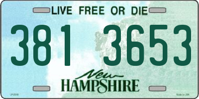NH license plate 3813653