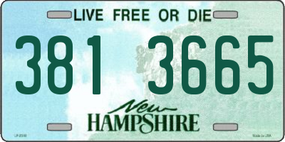 NH license plate 3813665