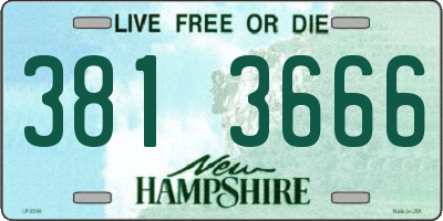 NH license plate 3813666