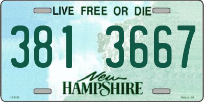 NH license plate 3813667