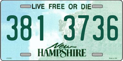 NH license plate 3813736