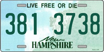 NH license plate 3813738