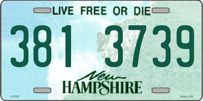 NH license plate 3813739