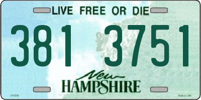 NH license plate 3813751