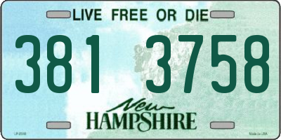 NH license plate 3813758