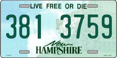 NH license plate 3813759