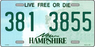 NH license plate 3813855