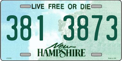 NH license plate 3813873