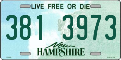 NH license plate 3813973