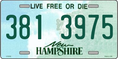 NH license plate 3813975