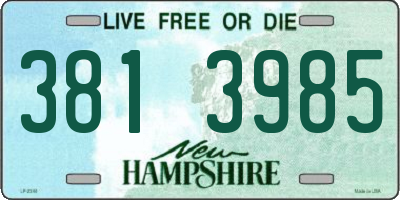 NH license plate 3813985