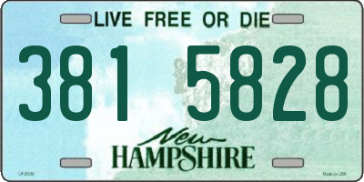 NH license plate 3815828
