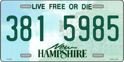 NH license plate 3815985