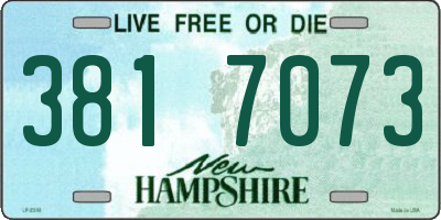 NH license plate 3817073