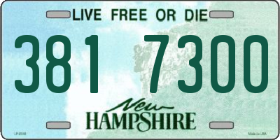 NH license plate 3817300