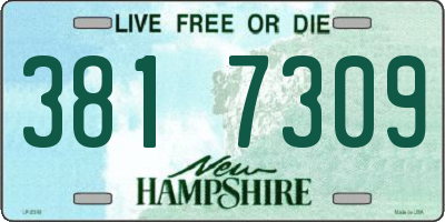 NH license plate 3817309