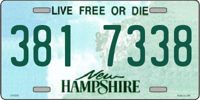 NH license plate 3817338