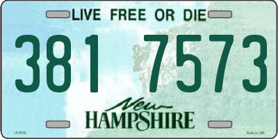 NH license plate 3817573