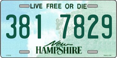 NH license plate 3817829