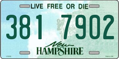 NH license plate 3817902