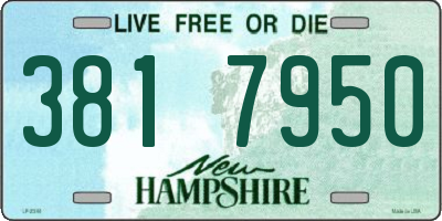 NH license plate 3817950