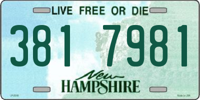 NH license plate 3817981