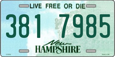 NH license plate 3817985