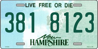 NH license plate 3818123