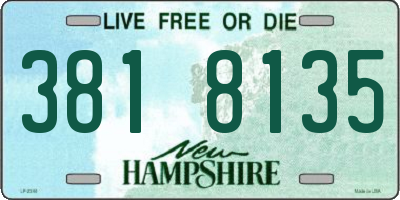 NH license plate 3818135