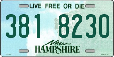 NH license plate 3818230