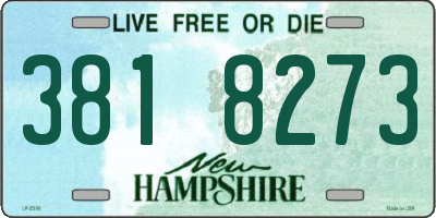 NH license plate 3818273