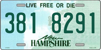 NH license plate 3818291