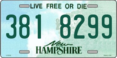 NH license plate 3818299