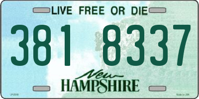 NH license plate 3818337